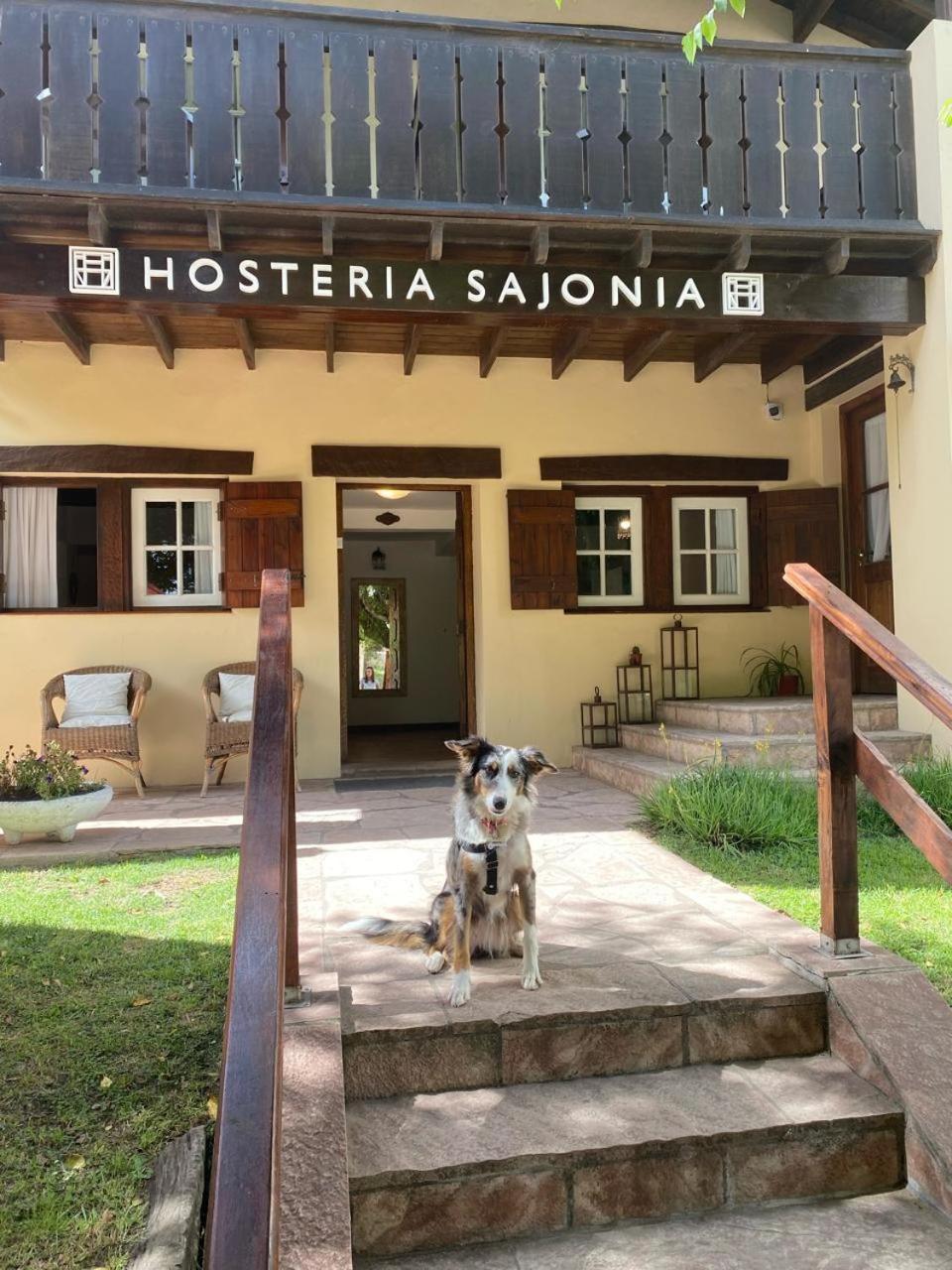 Hosteria Sajonia Вила Гесел Екстериор снимка